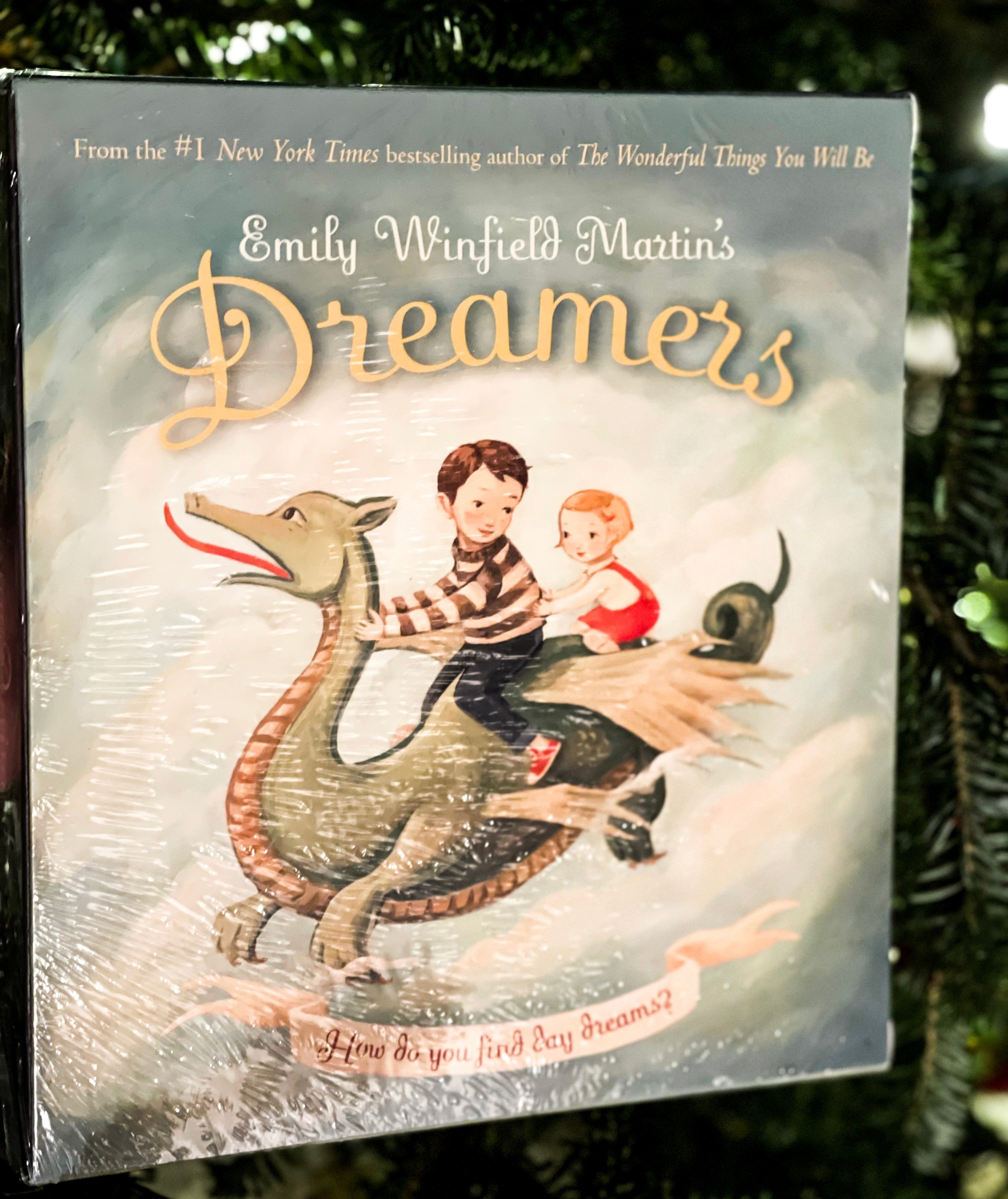 Dreamers Book Set