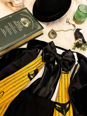 Edgar Allen Poe Themed Set